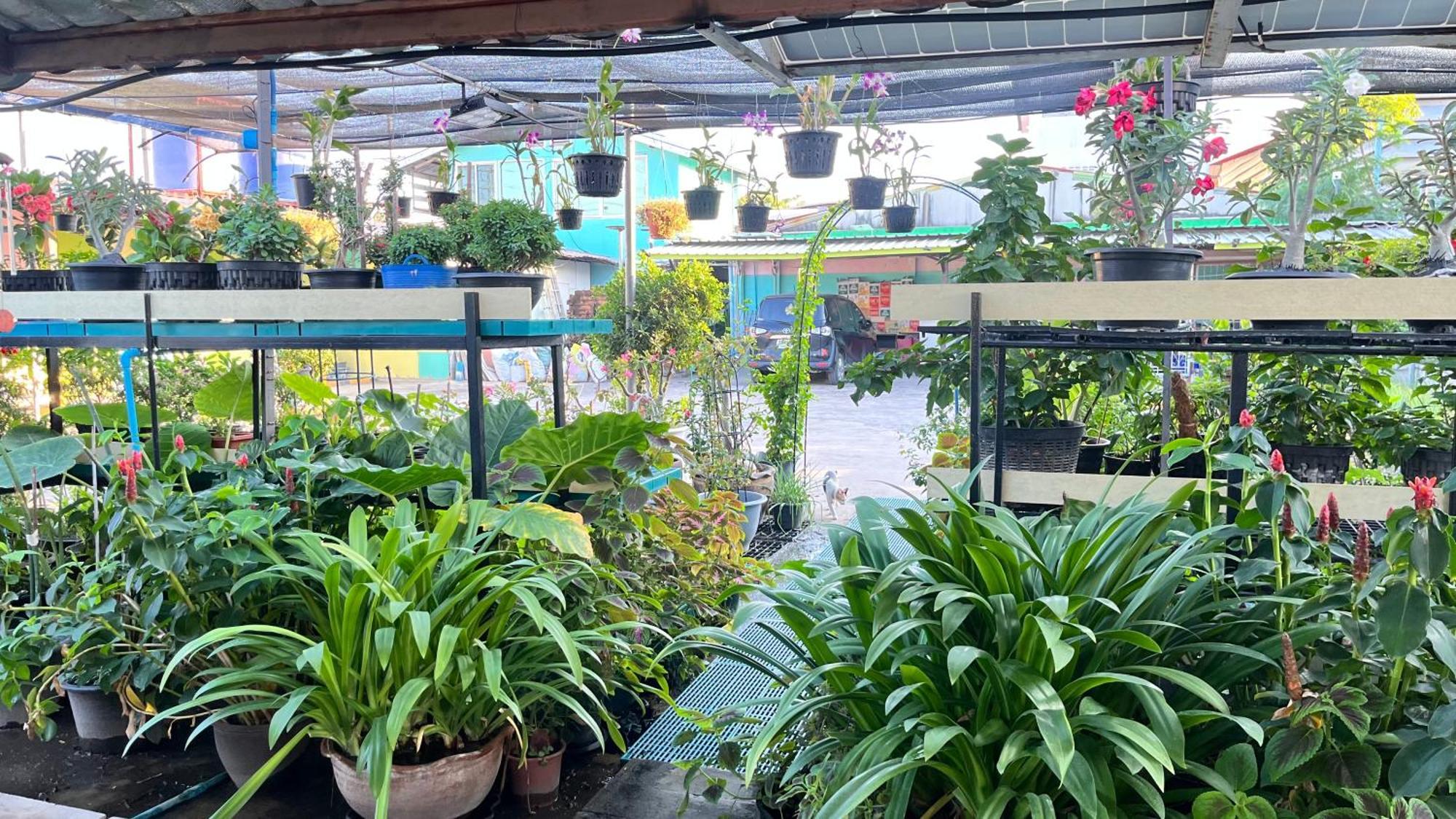 Pa Chalermchai Guesthouse Μπανγκόκ Εξωτερικό φωτογραφία